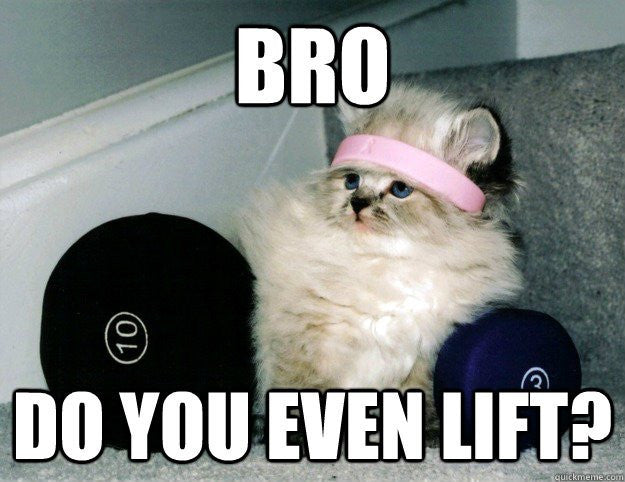 Do You Even Lift Bro Cat Meme